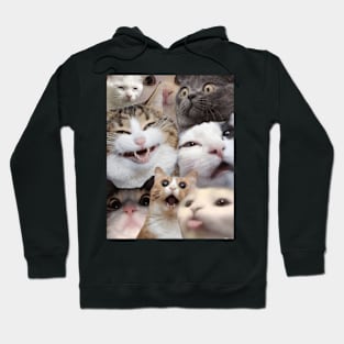 Cat collage Hoodie